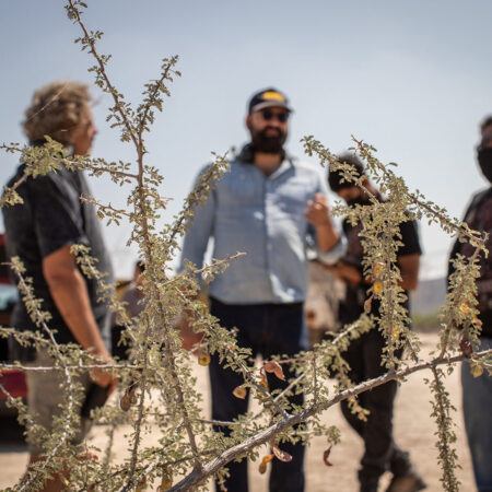 Chango, Nuncio, Renato y Alí